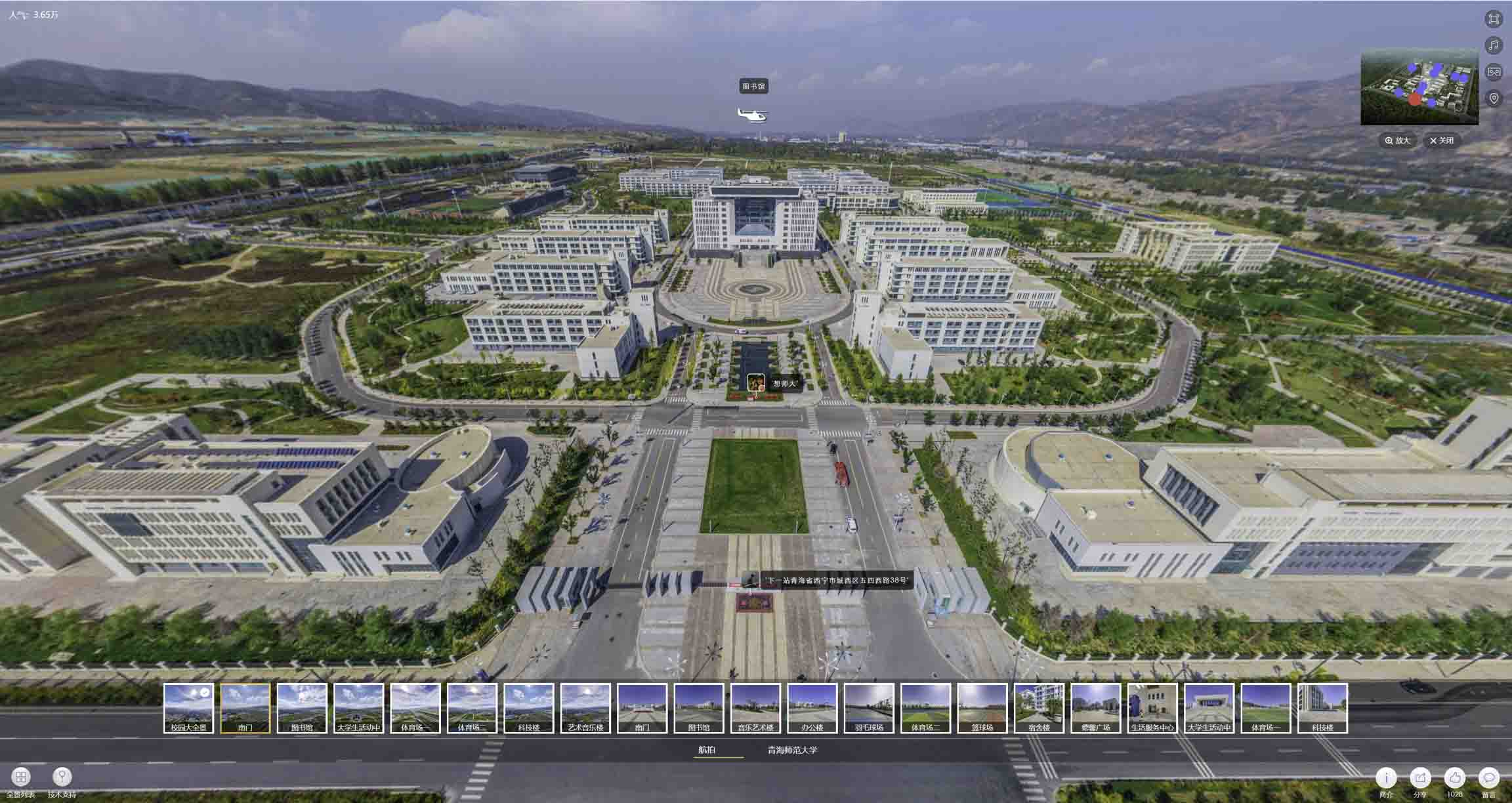 甘井子油菜花-惊艳半生的花海仙境